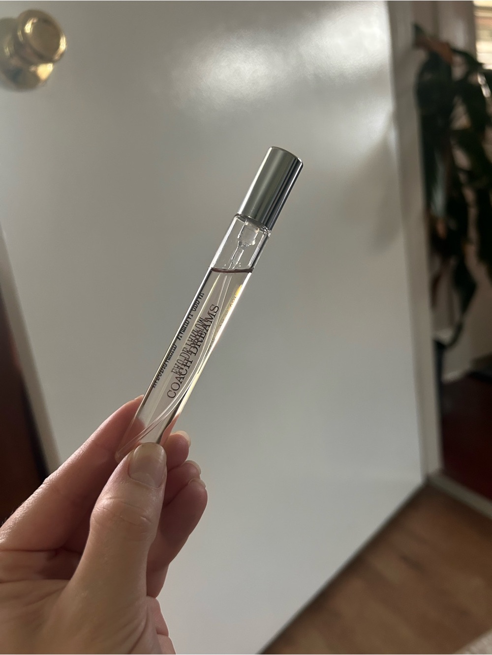 Coach Dreams Travel Spray